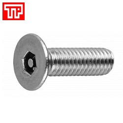 Bu lông lục giác chìm đầu bằng Inox 304